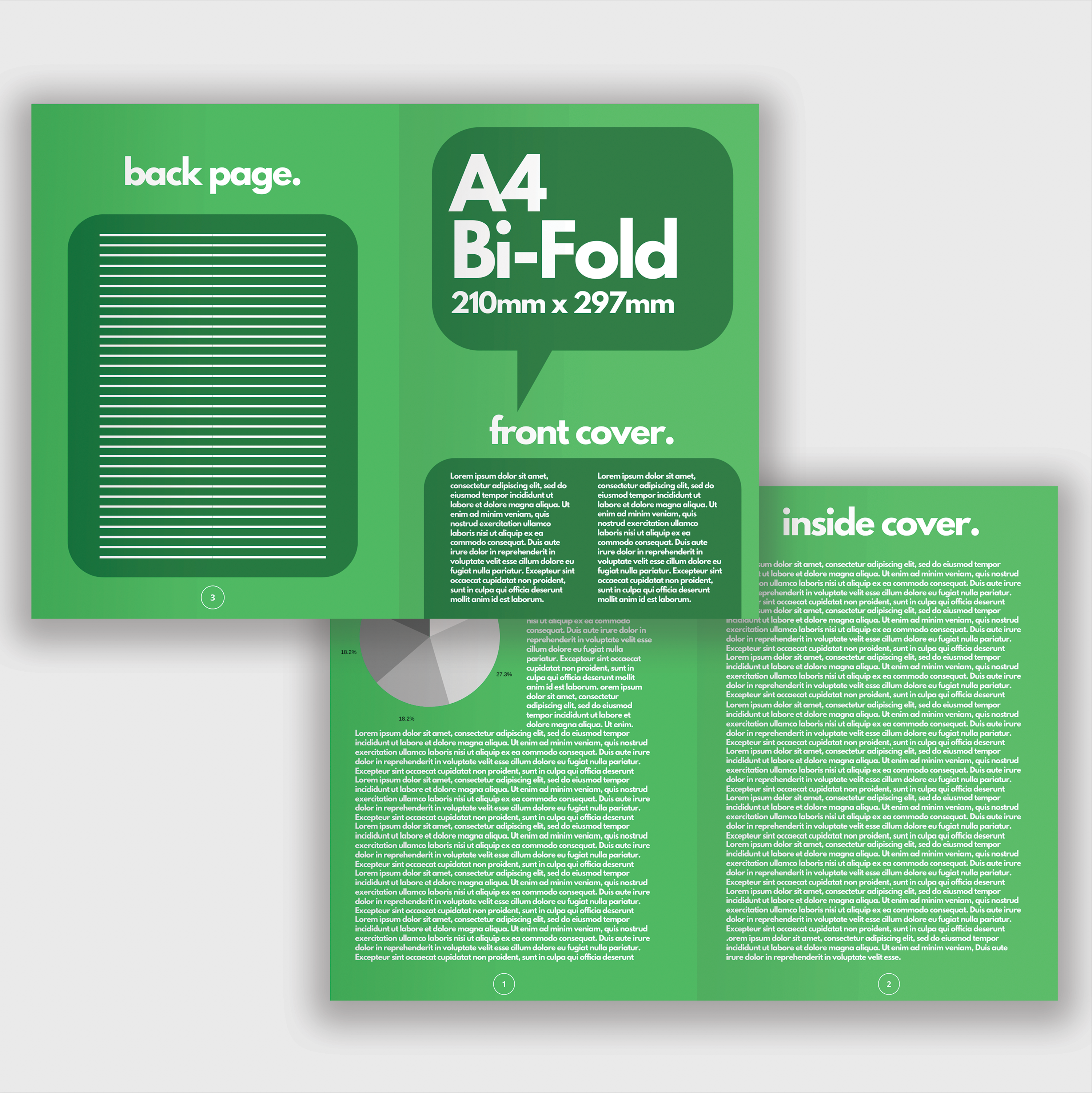 Flyers A4 Bi-Fold